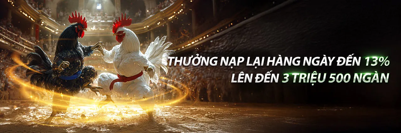 Giao diện Đăng nhập 8ok an toàn